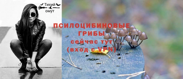 не бодяженный Очёр