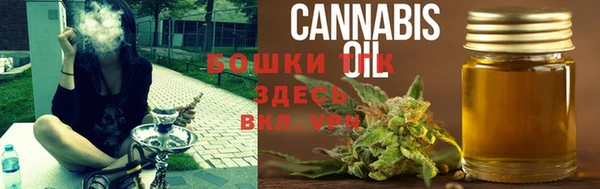 тгк Нязепетровск