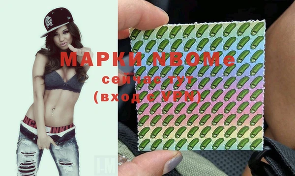 мдпв Новодвинск