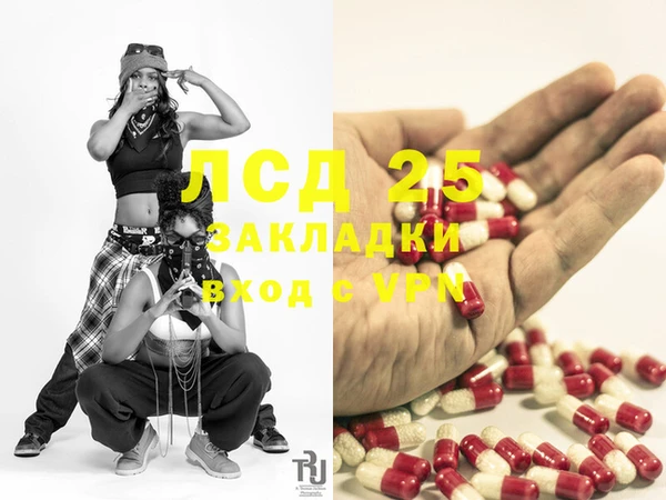 прущие грибы Нягань