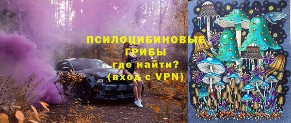 не бодяженный Няндома