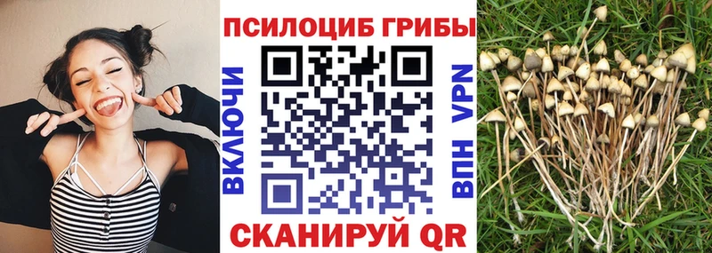 Псилоцибиновые грибы мухоморы  Полысаево 
