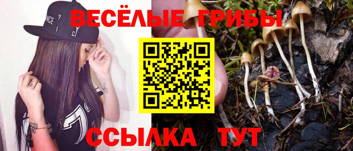 Галлюциногенные грибы Magic Shrooms Полысаево