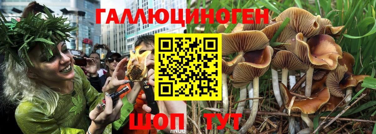 Галлюциногенные грибы MAGIC MUSHROOMS  Вход с VPN  Полысаево 