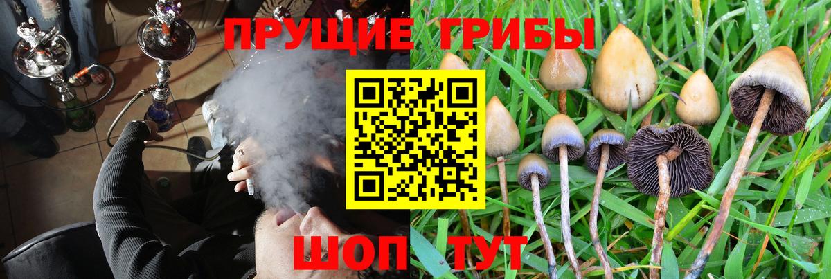 Псилоцибиновые грибы Cubensis  Полысаево  продажа наркотиков  Галлюциногенные грибы MAGIC MUSHROOMS 
